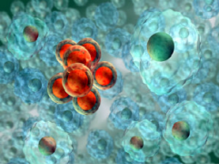 1531995956478246CrK3.png 51.png