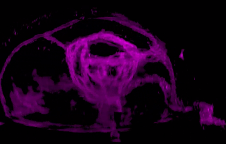 1531996960209120lrtv.png 86.png