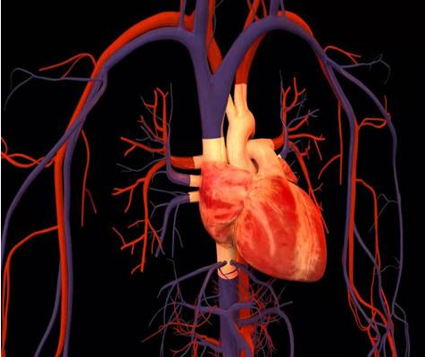 1532046046447468B8zH.png 圖片27.png