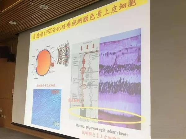 1532049634566164BQHm.png 圖片105.png