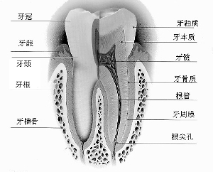 1531997944675892Hn6e.png 4.png