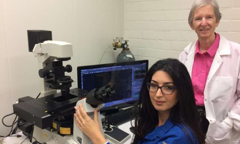 15625511687514552TPK.jpg studyfindsel.jpg