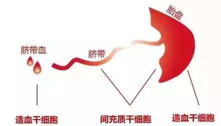 1563330809181937gj7x.png 圖片7.png