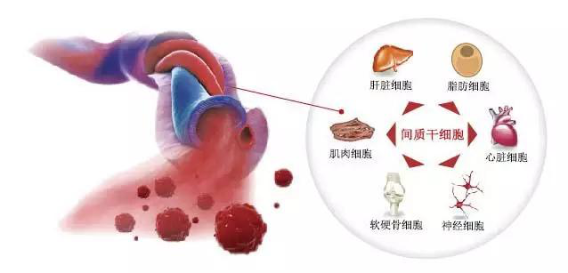 1563761994568493xOW3.png 圖片6.png